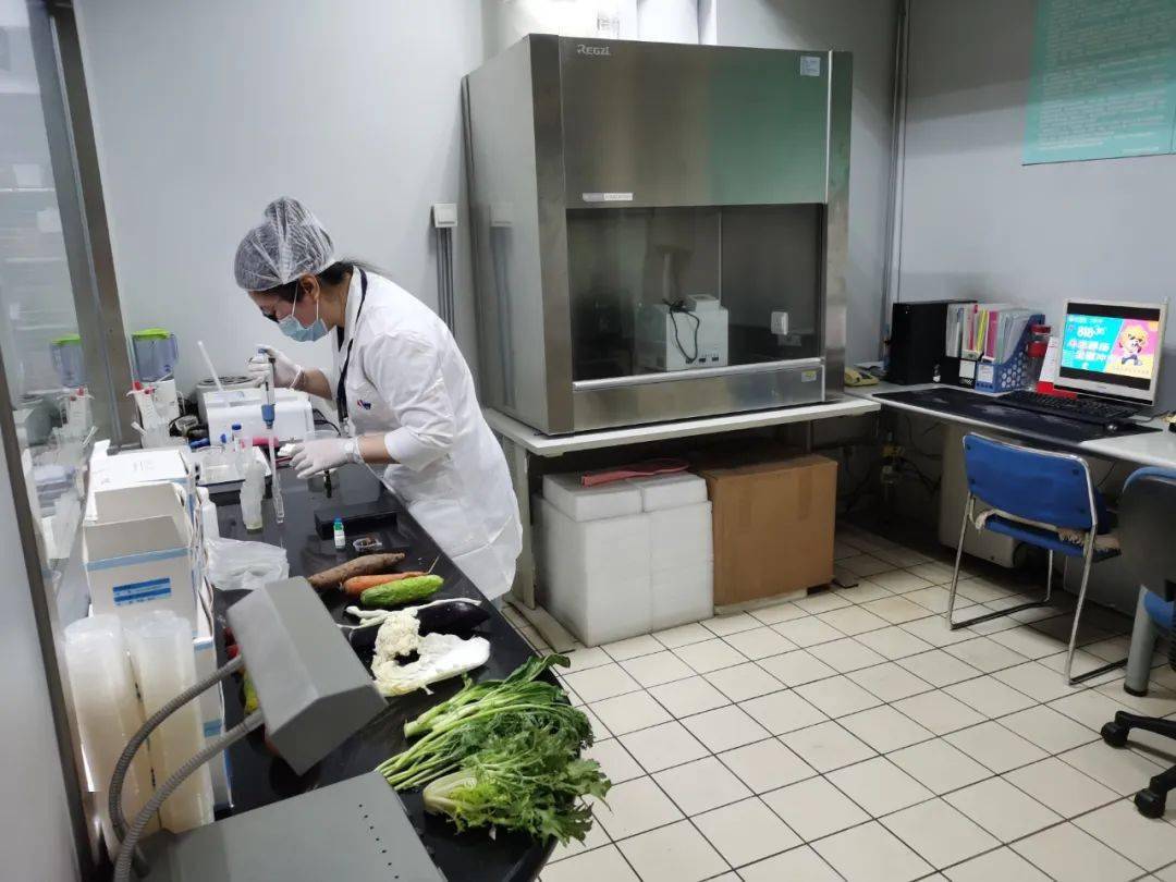 赫章食品检测实验室装修方案